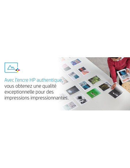 HP 62 cartouche d'encre trois couleurs authentique