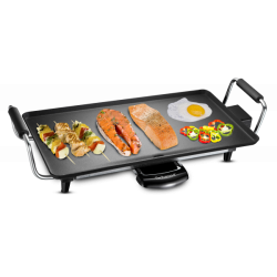 PLANCHA 23X43 2000W 2