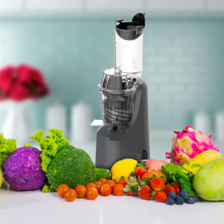 EXTRACTEUR DE JUS GRIS